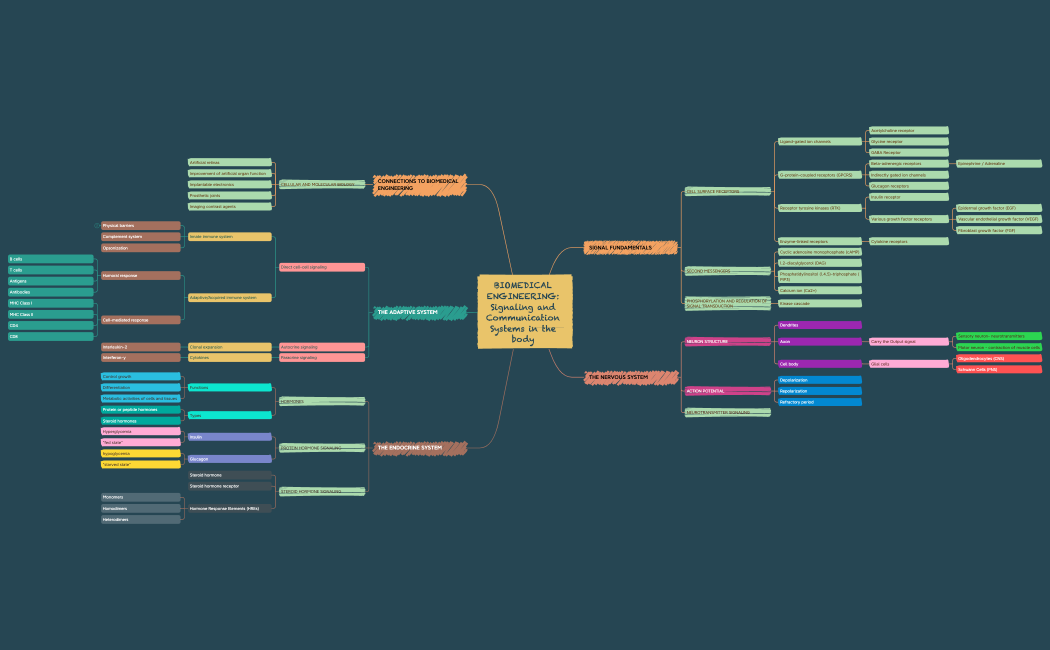 Signaling_and_Communication_SystemsxmindNuZhHbdmmAHly95348xmind-G6iFRk-gacG10S-98847.xmind
