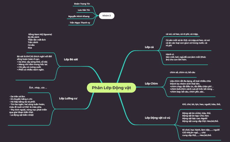 Phân Lớp Động Vật