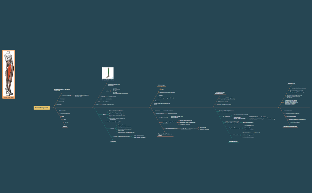 Sönke Bergensen Sicherheitseinlagen.xmind