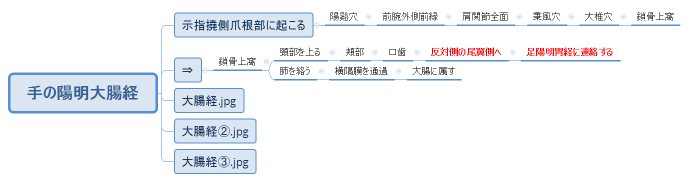 手の陽明大腸経