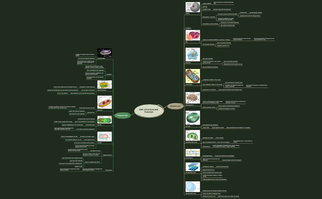 Cell structure and Function