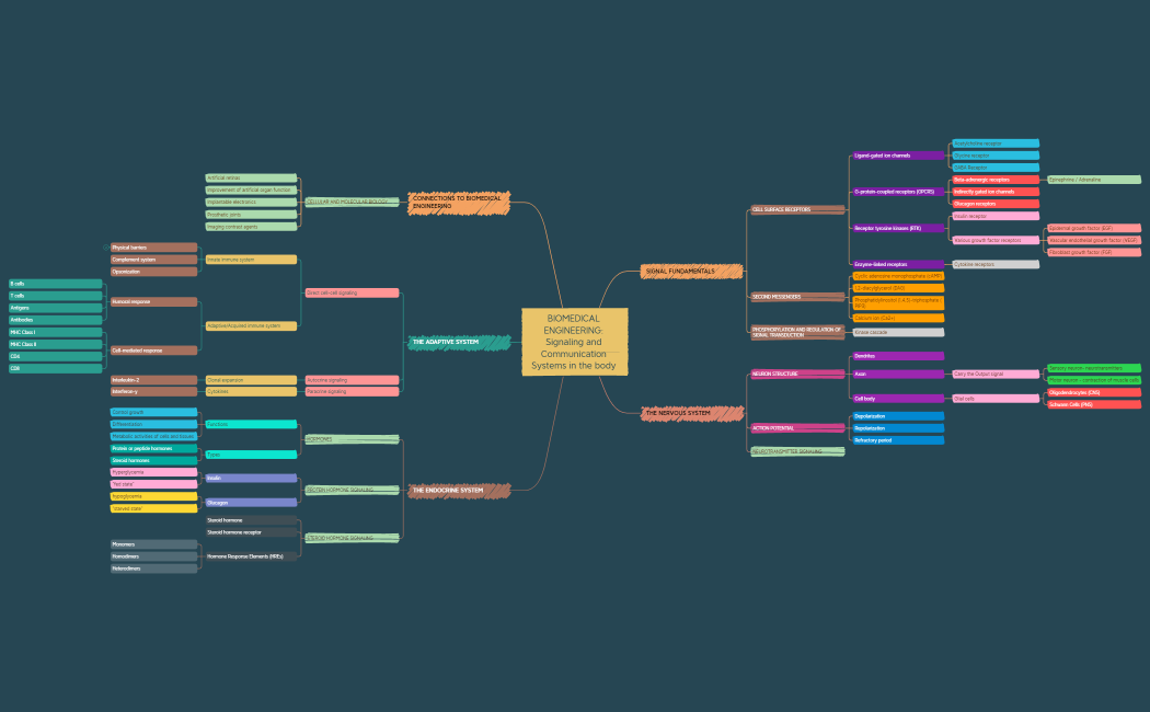 Signaling and Communication Systems.xmind