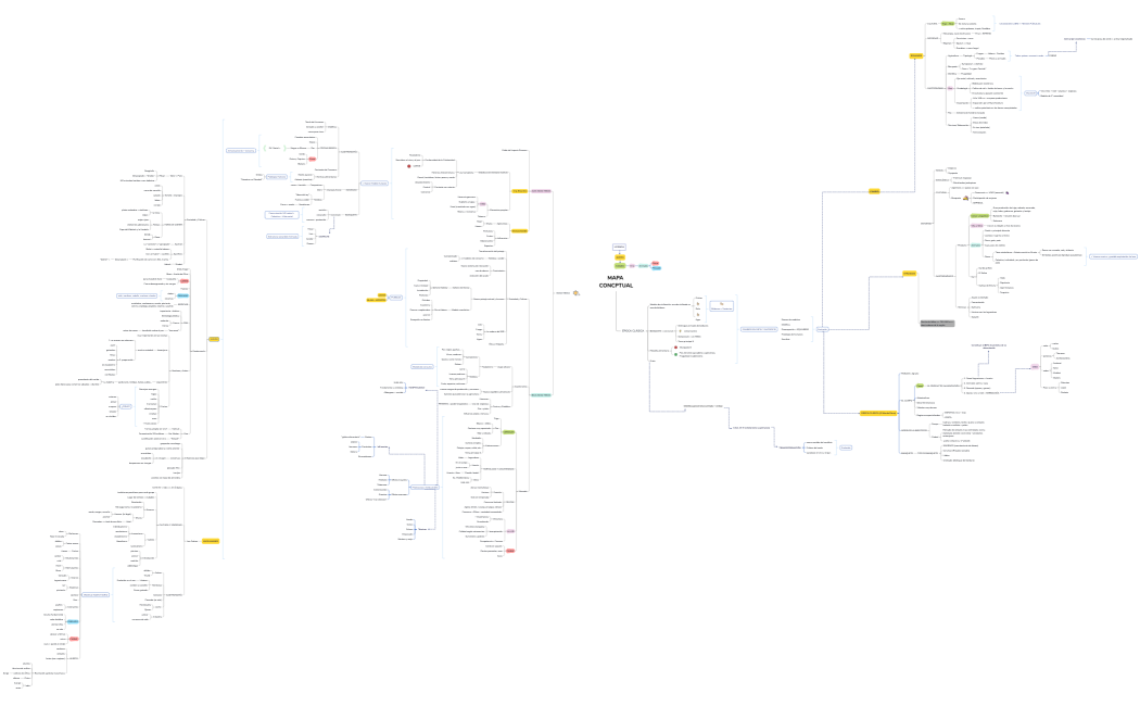 MAPA CONCPTUAL