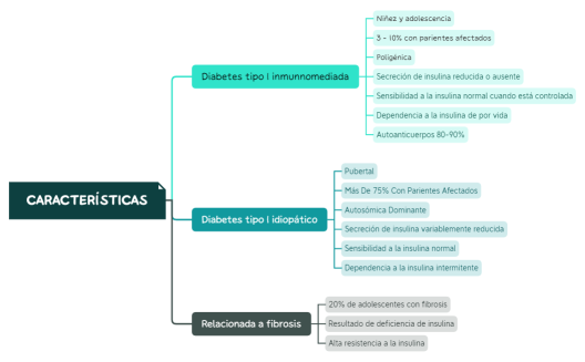 Características.xmind
