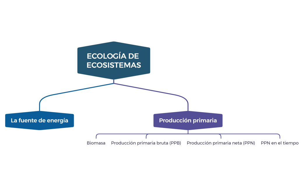ECOLOGÍA DE ECOSISTEMAS