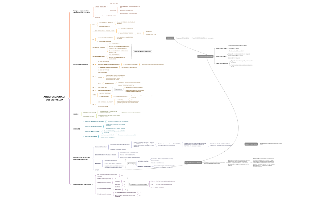AREE FUNZIONALI DEL CERVELLO