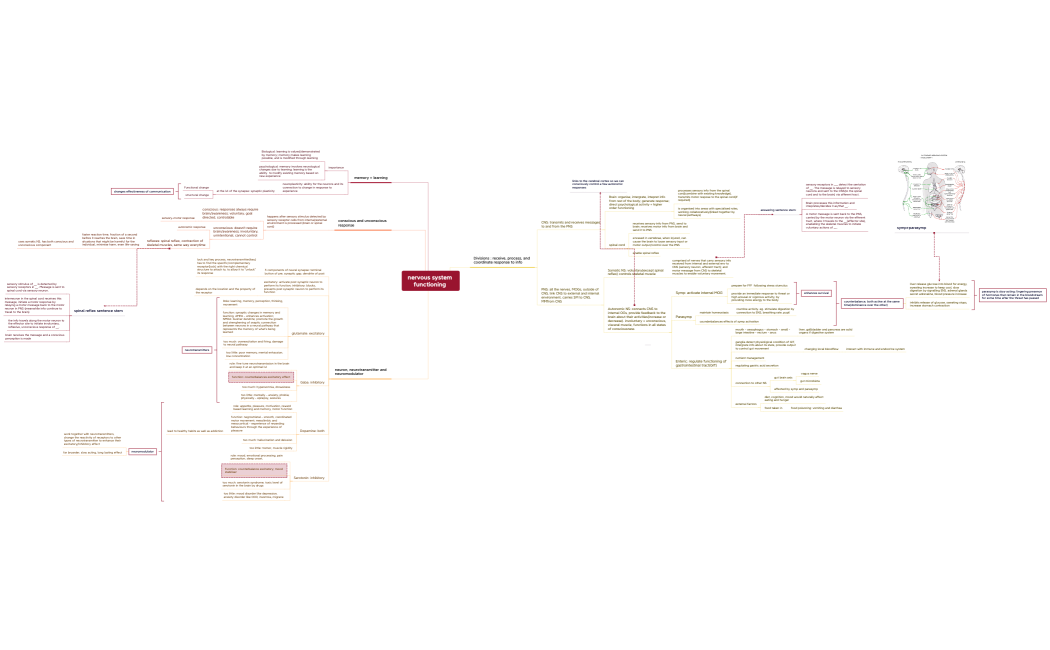 PSYU3AOS1howdoesexperienceaffectbehaviourandmentalprocesses newver
