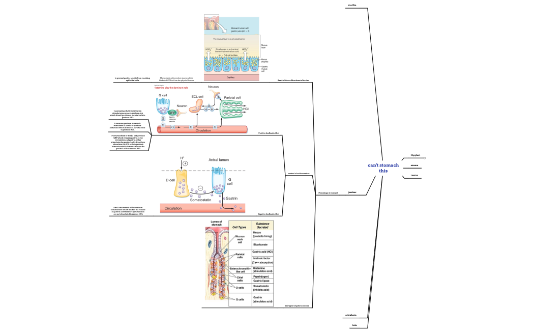 Untitled-uFmQgf-scZ1BAC-93760
