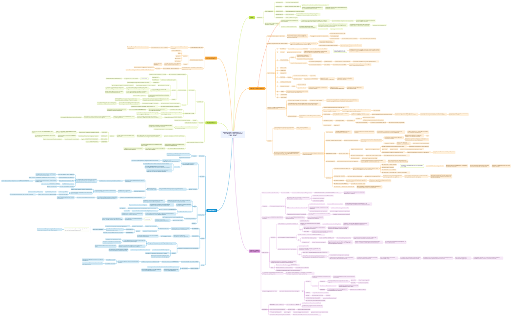 PORZIONI CRANIALI DEL SNC