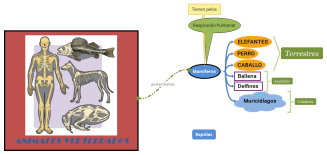 ANIMALES VERTEBRADOS