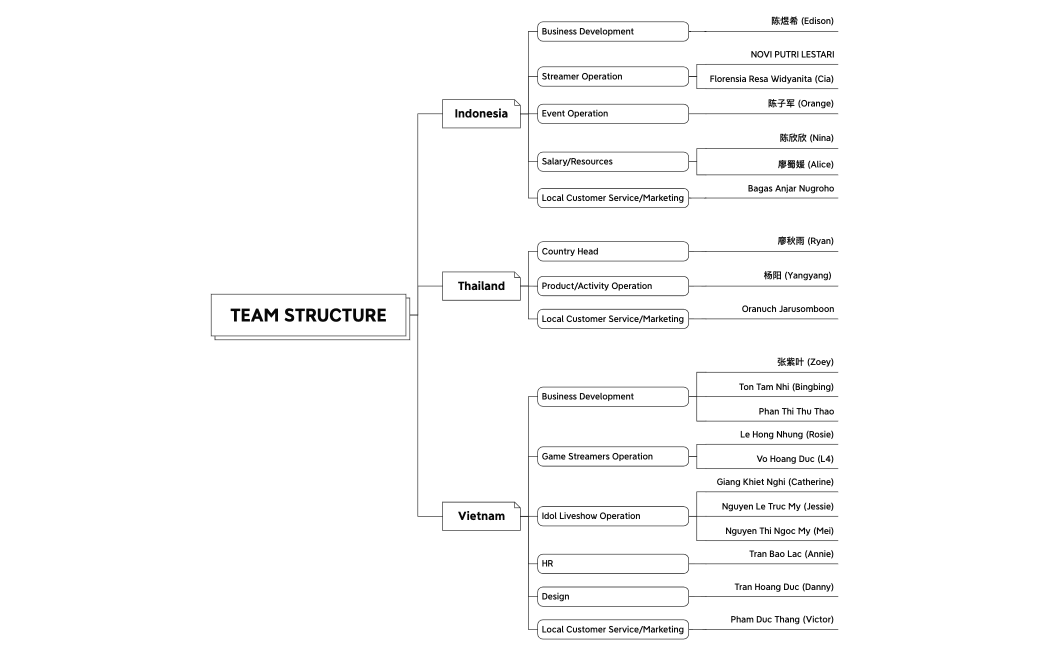 TEAM STRUCTURE