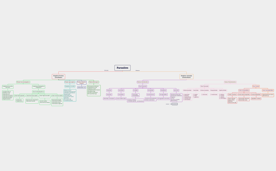 TaxonomyParasitesxmindExFJUdYYEECKX51163xmind-gUhT2r-o1eV8Fy-02415.xmind