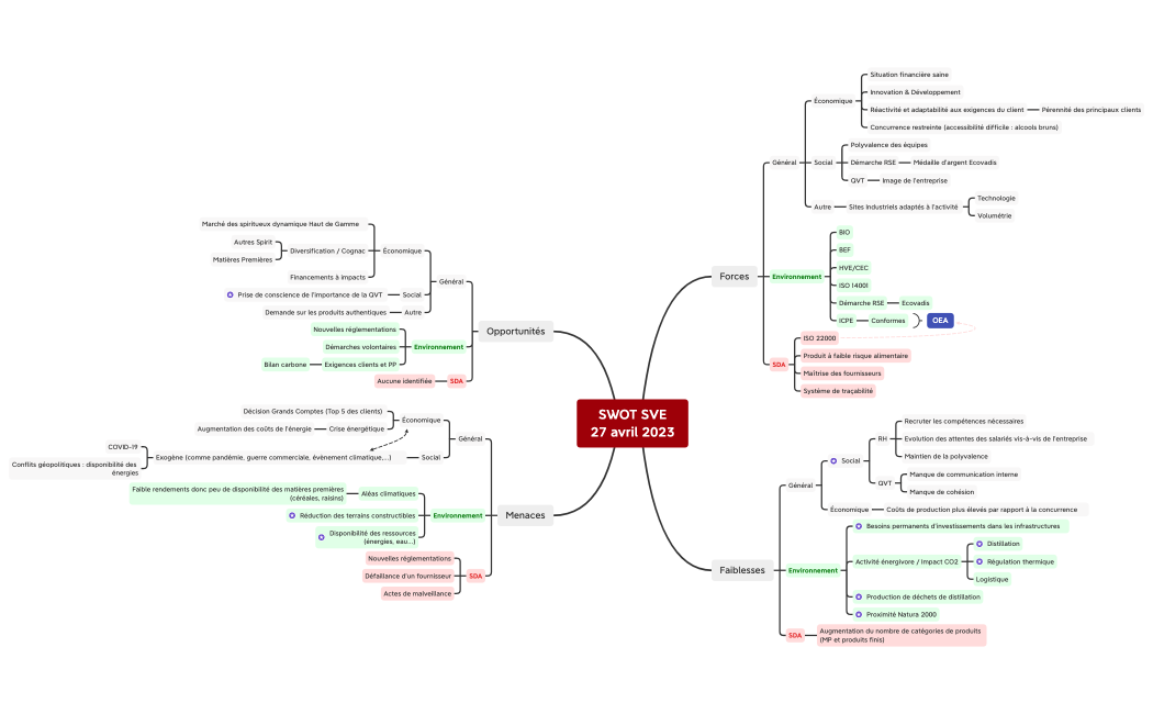 SWOT SVE 27 avril 2023.xmind