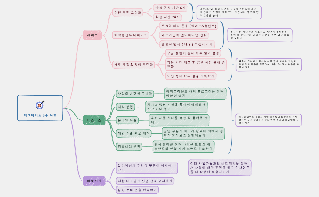 체크메이트 8주 목표