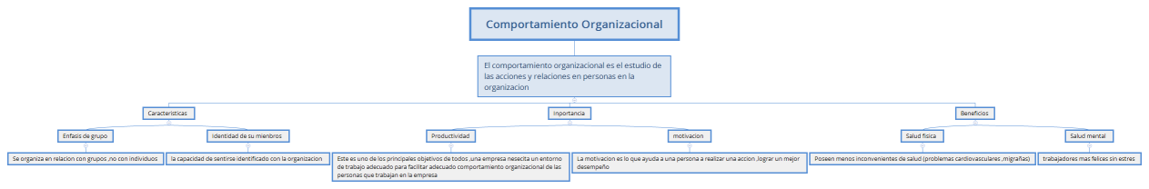 Comportamiento Organizacional