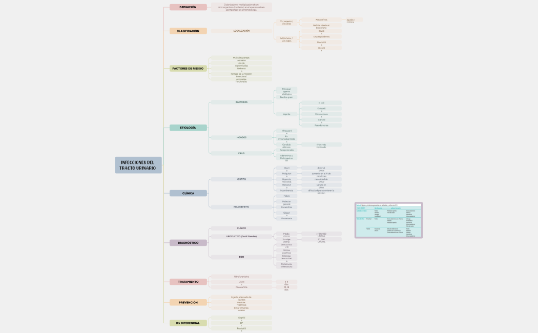 INFECCIONES DEL TRACTO URINARIO 
