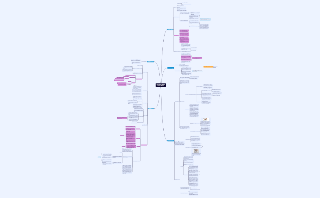 Hoạt-động-bài-tiết-của-hệ-tiêu-hoá (2)