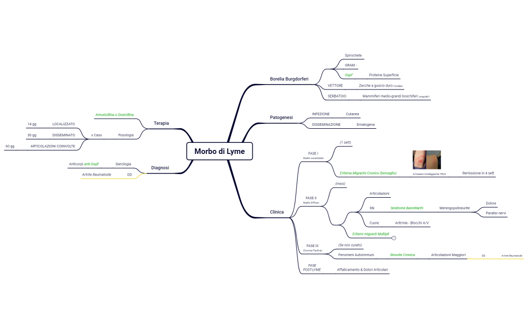 16. Antropozonosi Batteriche