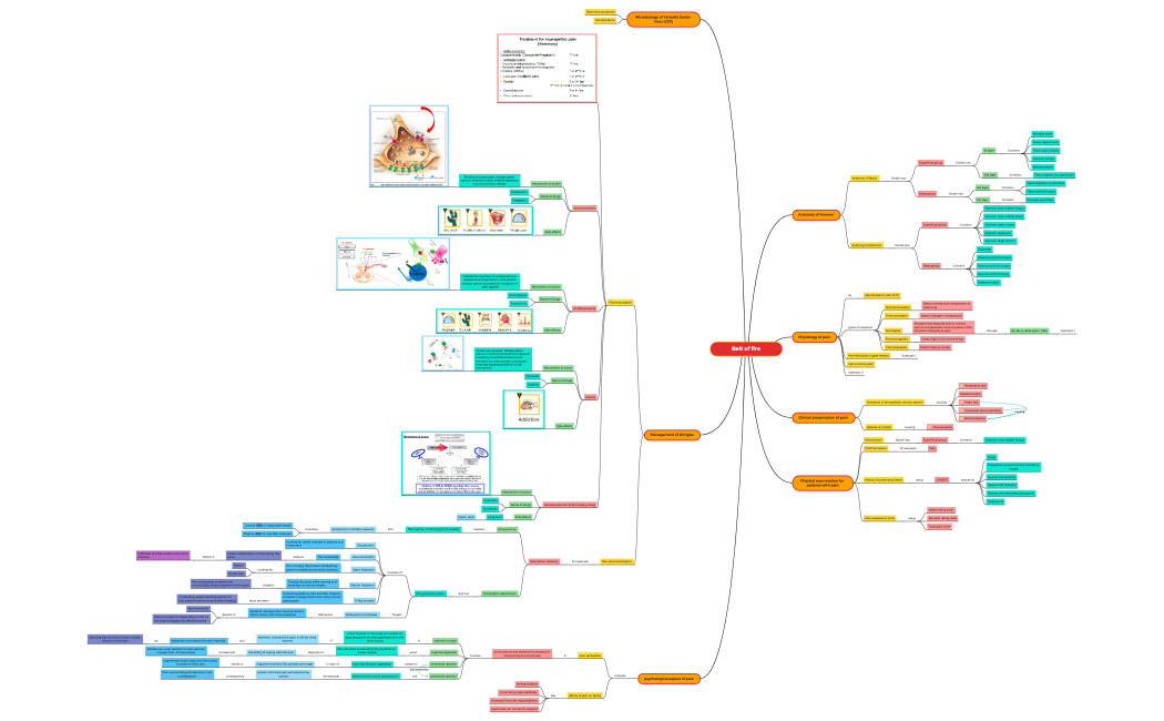 Belt_of_fireWfsYkQegp70O745947MCwpiQMkKV79q62871-Xze4Py-G8i2qCH-39380