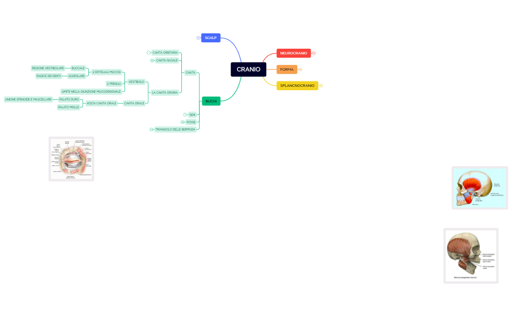 CRANIO
