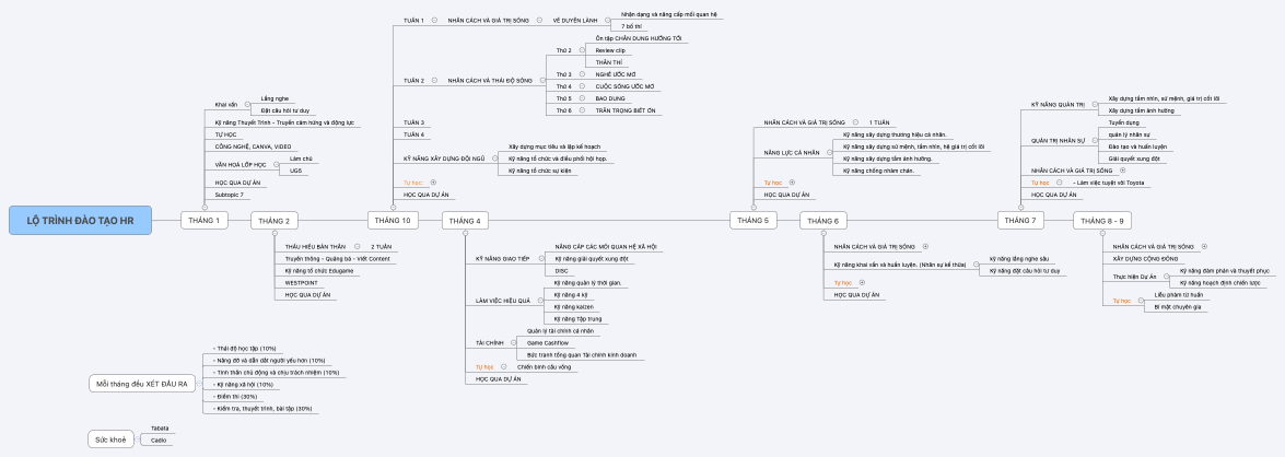 LỘ TRÌNH ĐÀO TẠO HR