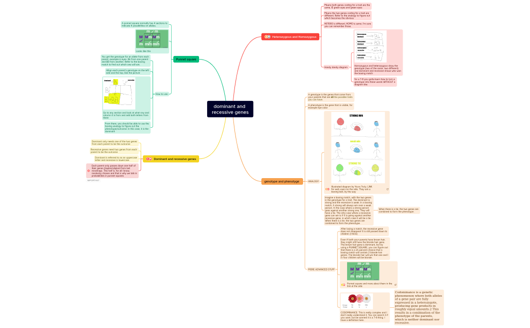 dominant and recessive genes