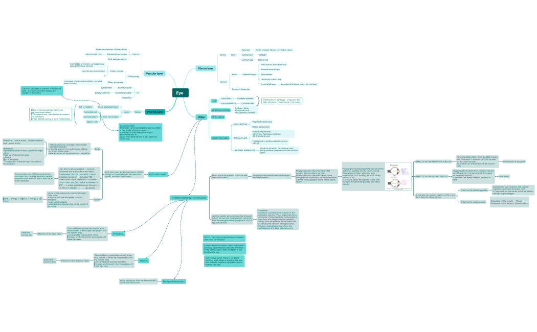 Eye 