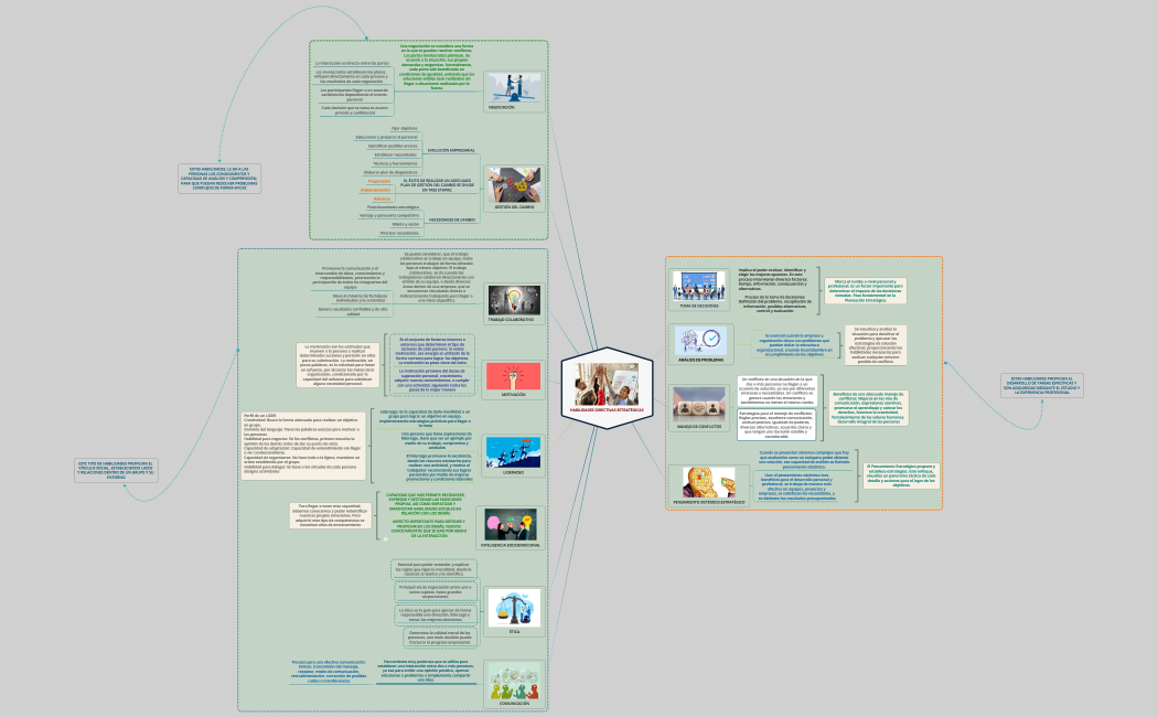 MAPA HABILIDADES DIRECTIVAS