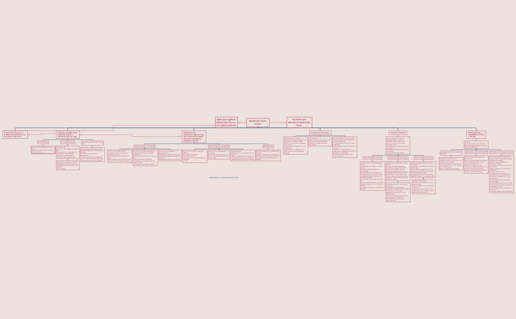 desarrollo físico motor 