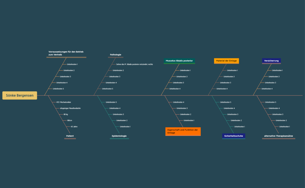 Sönke Bergensen Sicherheitseinlagen.xmind