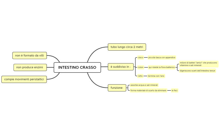 INTESTINO CRASSO, scienze degli alimenti, secondo anno