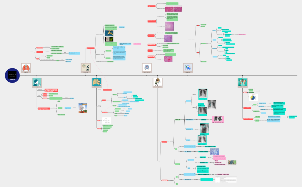 TB_or_not_TBsNpQ7nWZQbcMK25726-wGJ7dq-UeV7shS-50627