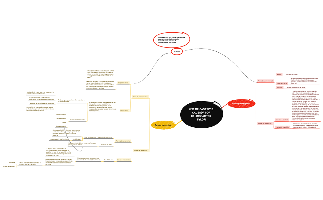 HNE DE GASTRITIS CAUSADA POR HELICOBACTER PYLORI