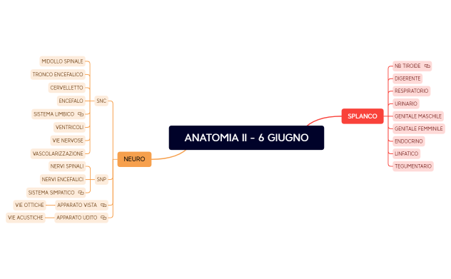 ANATOMIA II - 6 GIUGNO.xmind