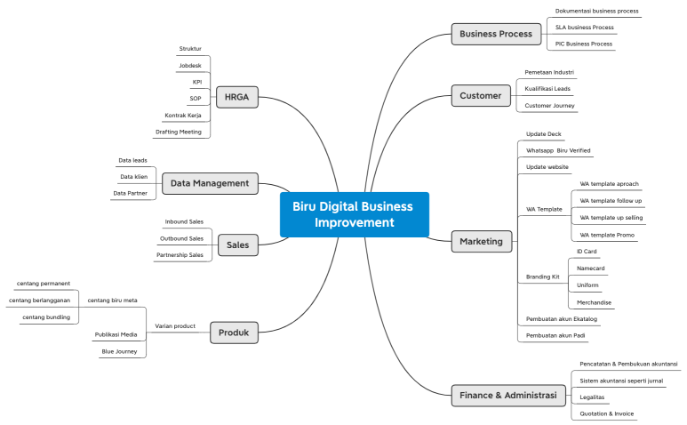 Biru Digital business acumen