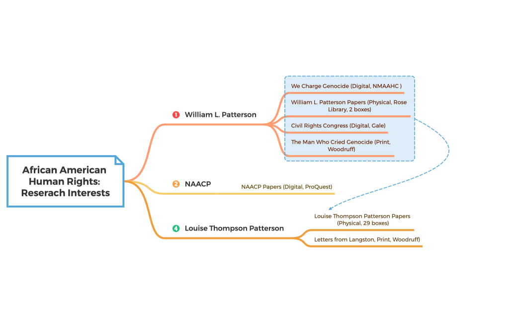 African American Human Rights Reserach Interests