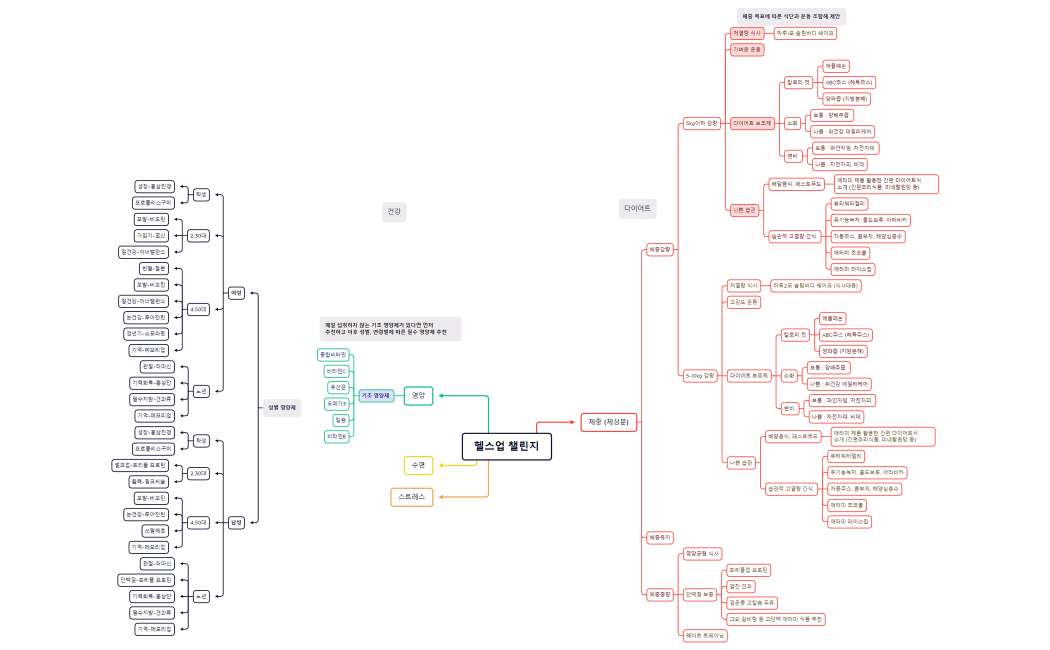 헬스업 챌린지 마인드맵 작성
