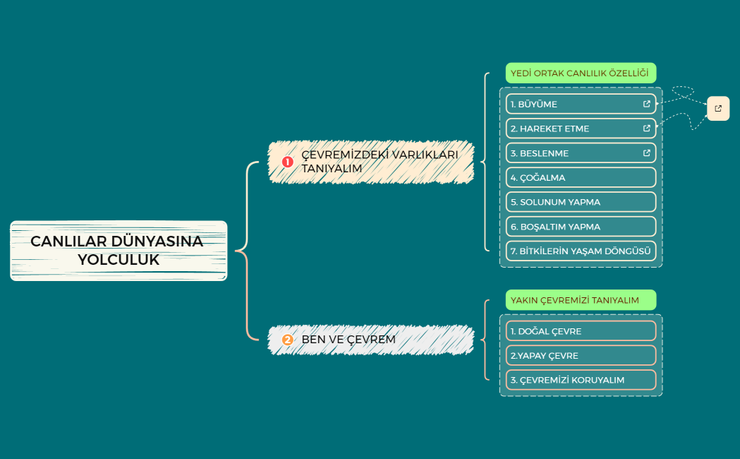 CANLILAR DÜNYASINA YOLCULUK