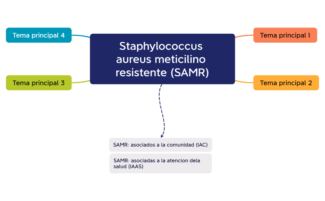 Staphylococcus aureus meticilino resistente (SAMR)