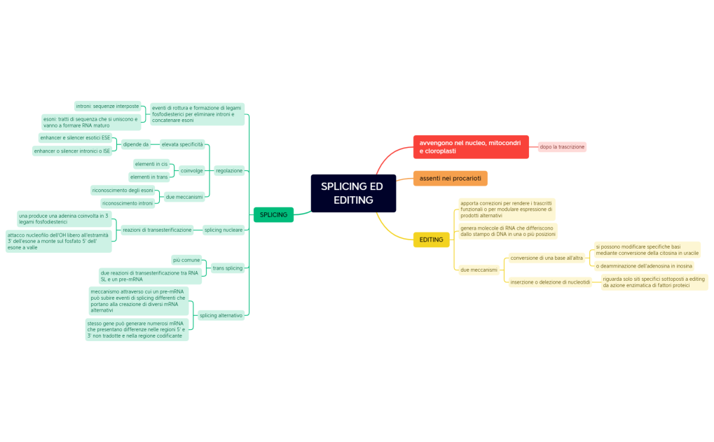 Senza titolo 2.xmind