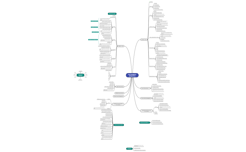 Post Instagram Spiegazione