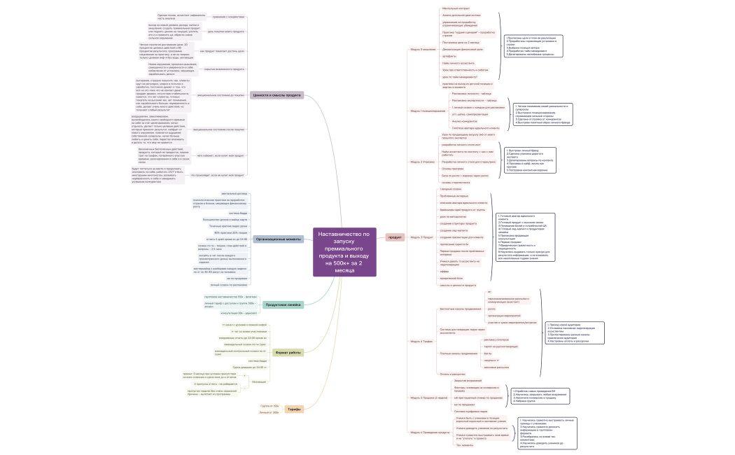 Наставничество по запуску премиального продукта и выходу на 500к+ за 2 месяца