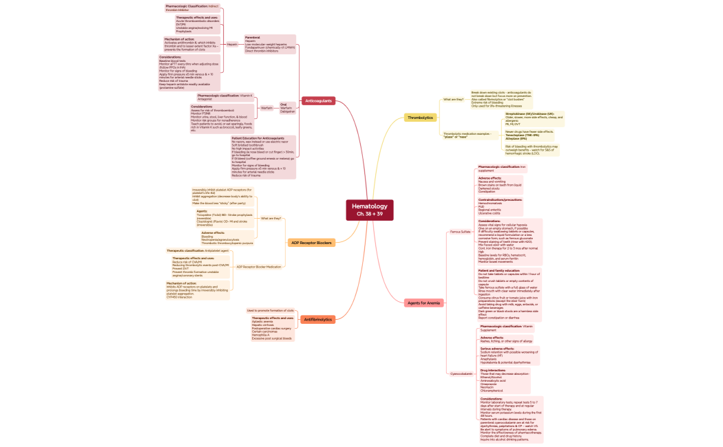 Mind Map