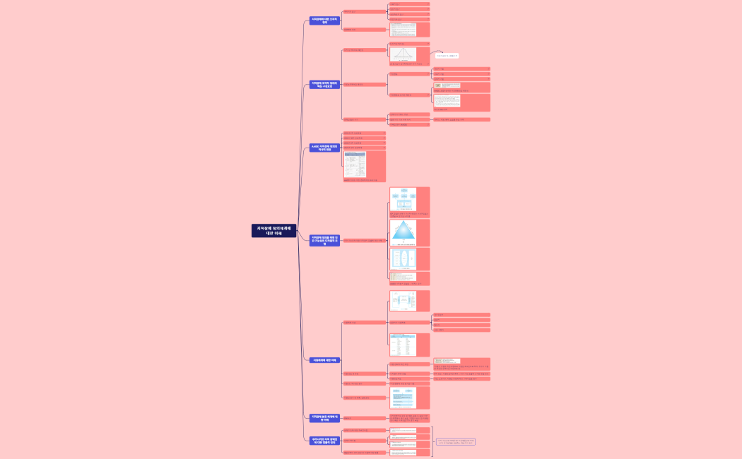 지적장애 정의체계에대한 이해