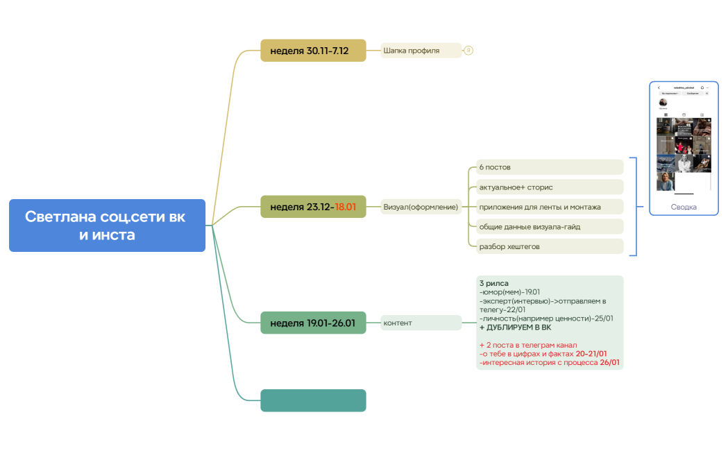 Светлана соц.сети вк и инста
