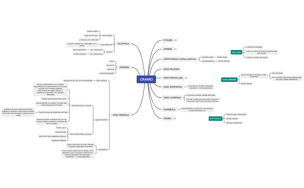 Cranio