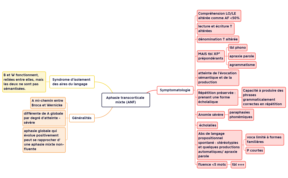 Aphasie transcorticale mixte (ANF)