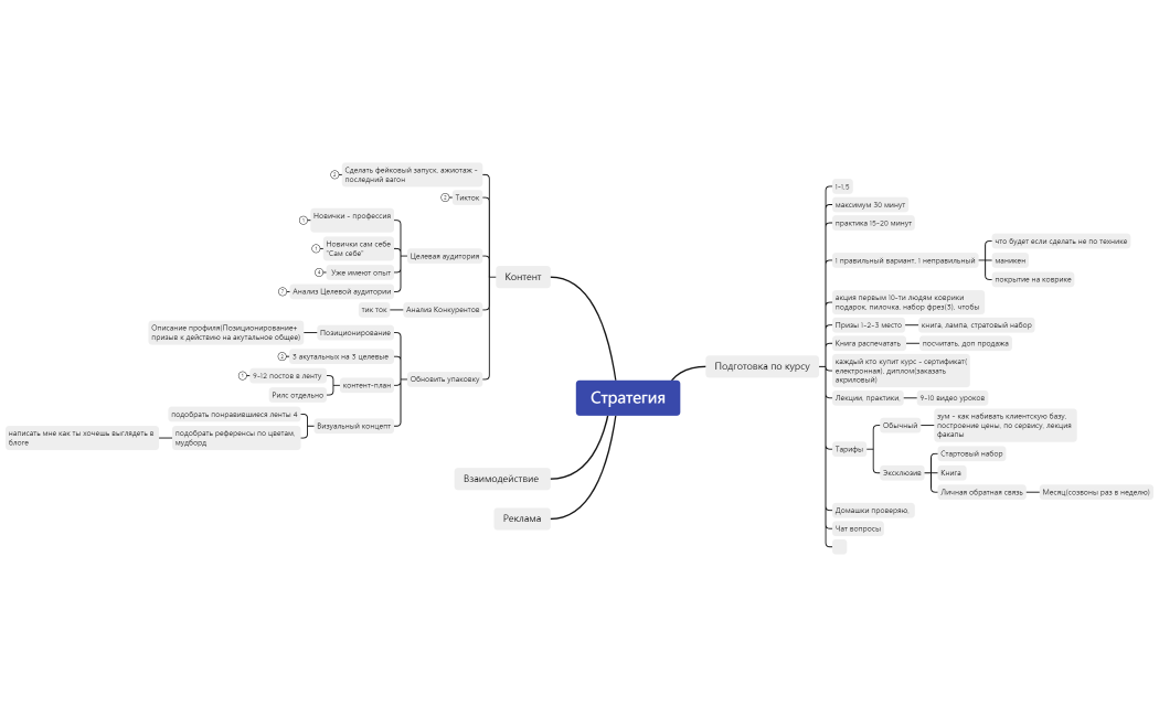 Стратегия Аня