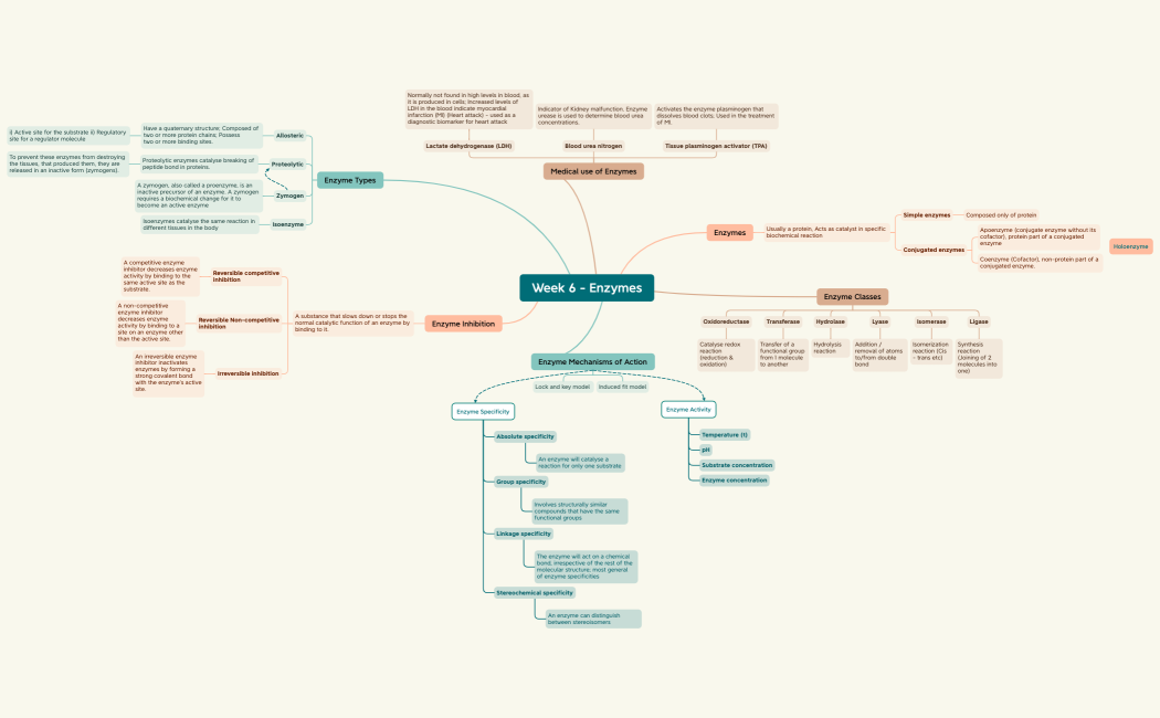 Week 6 - Enzymes