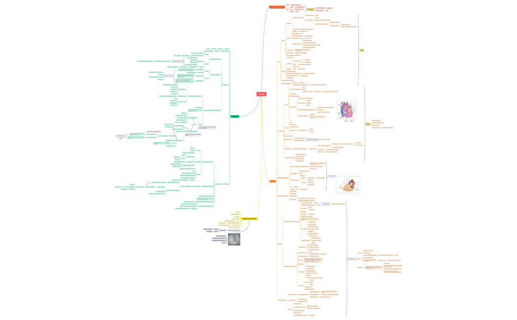 Il_cuorexmind-JdNKXt-2qnMCul-50373.xmind